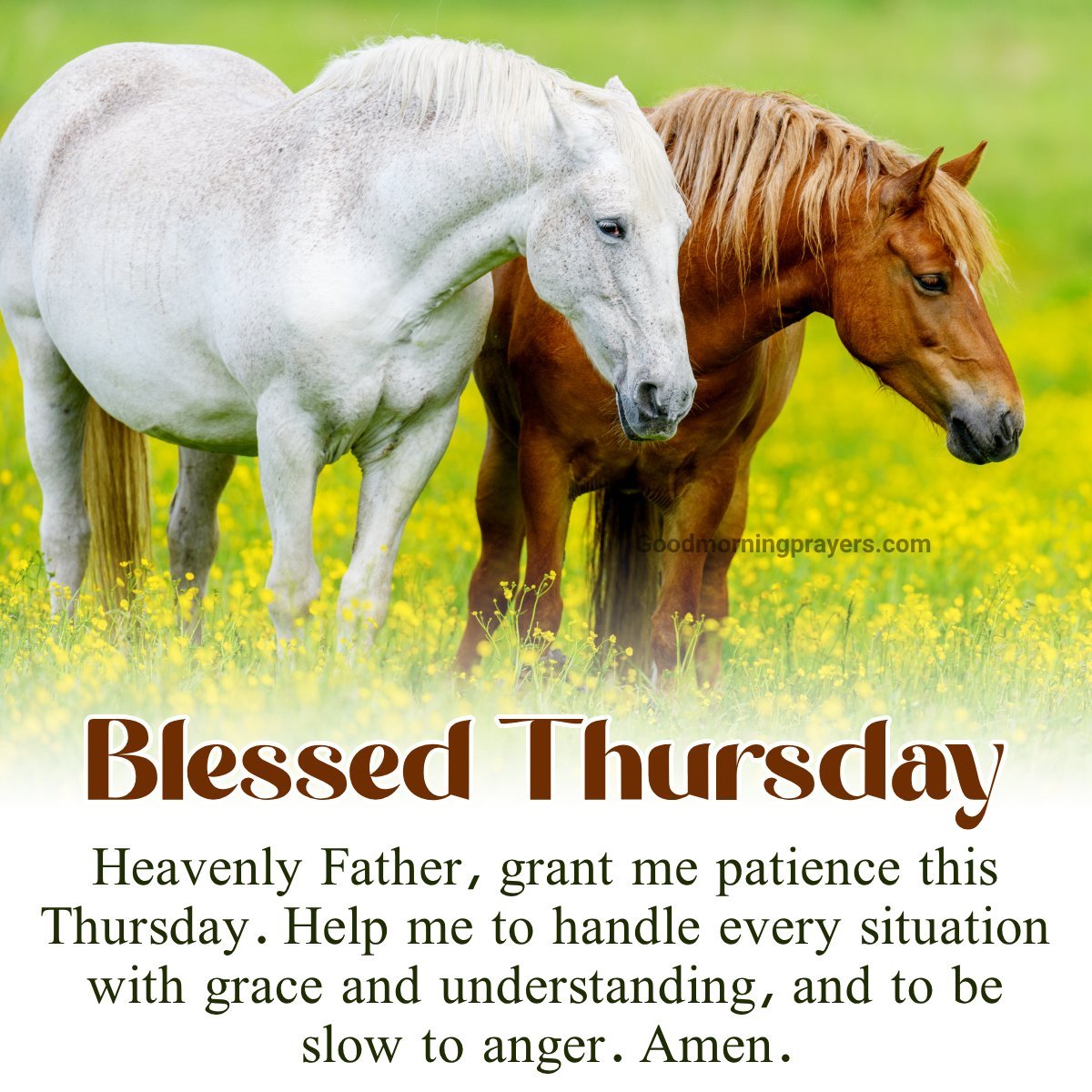 Good Morning Thursday Prayer For Success