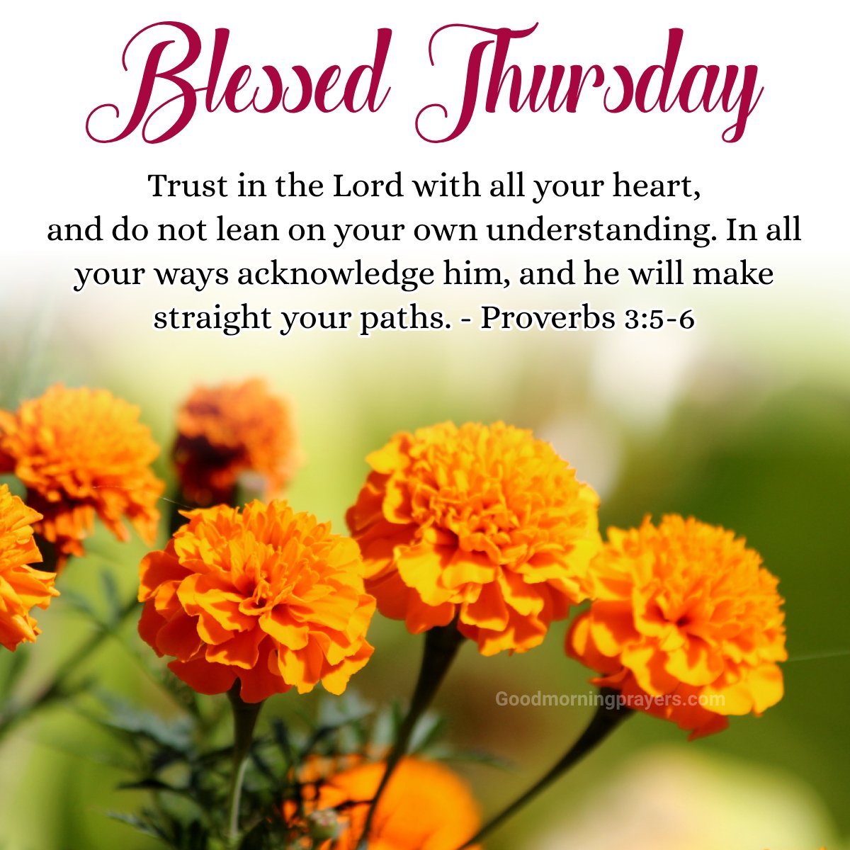 Good Morning Thursday Scriptures Of Hope And Faith