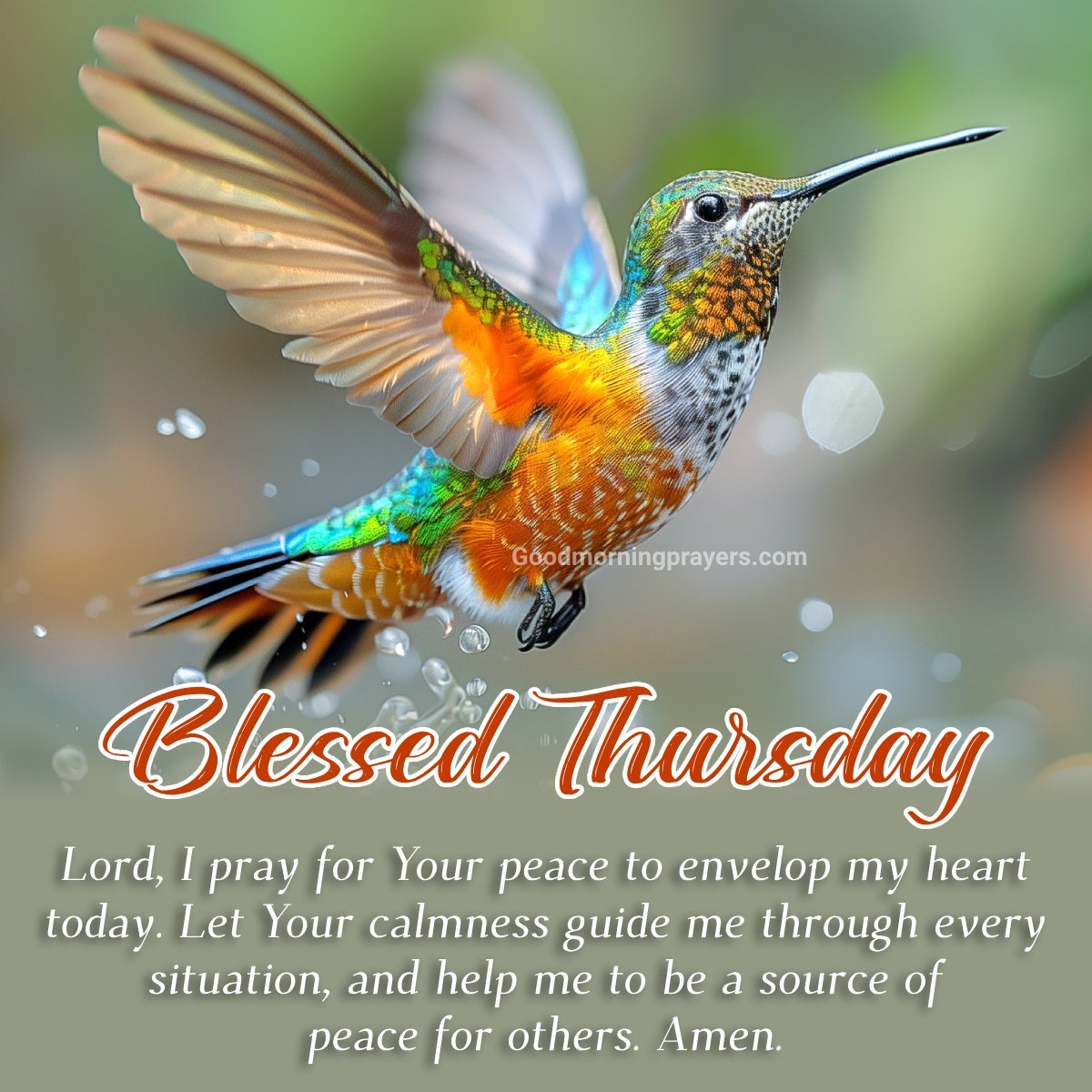 Morning Blessings Prayer For Thursday Motivation