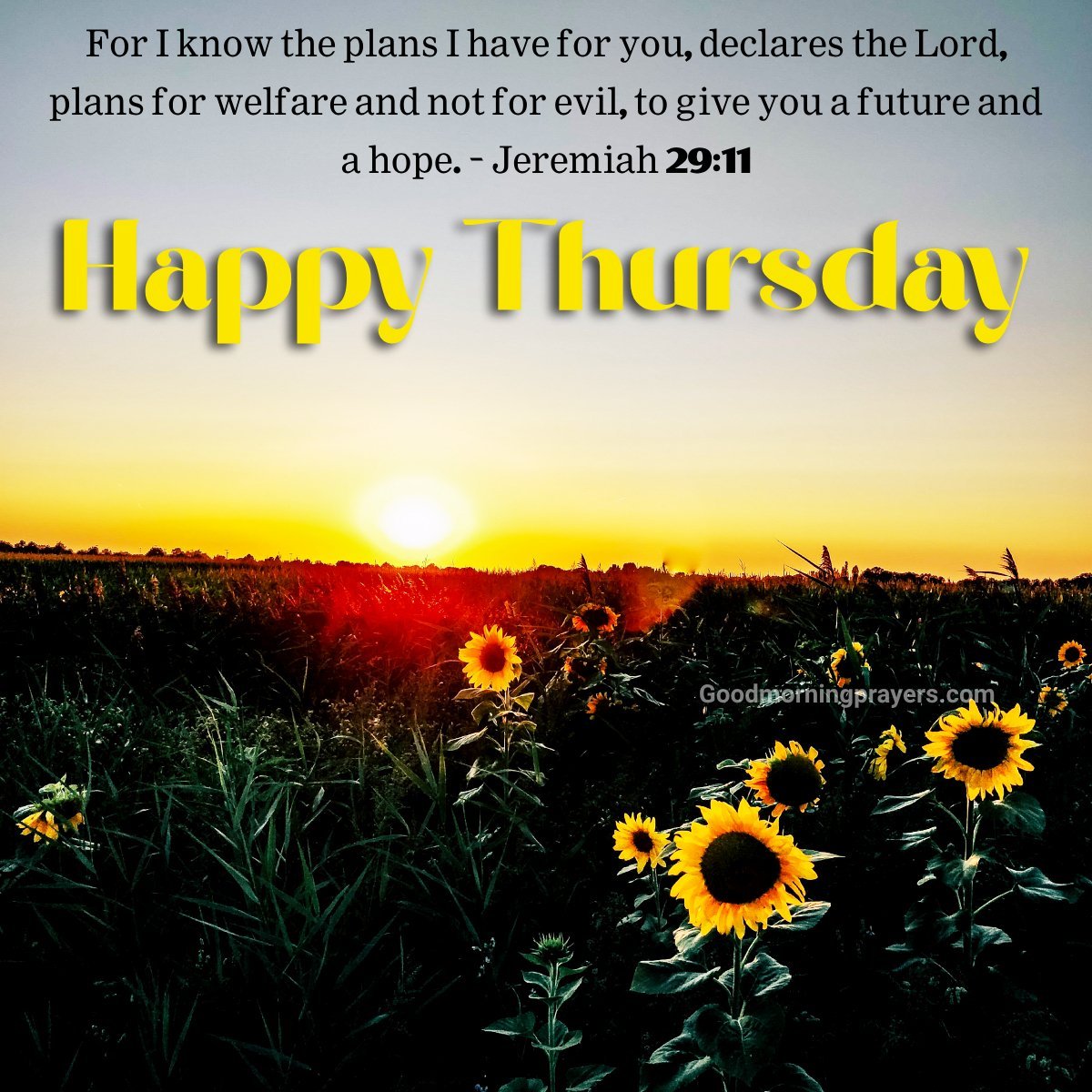 Motivational Thursday Bible Verses For Today