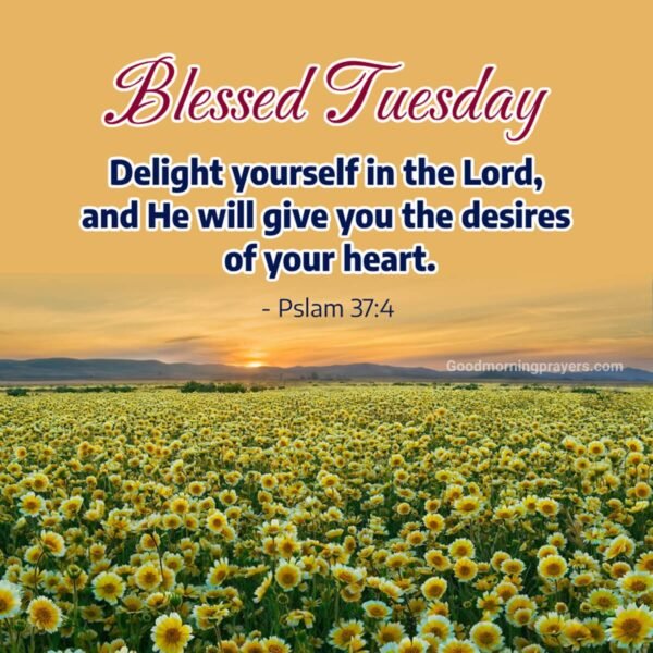 Start Your Tuesday with Good Morning Prayers, Verses, and Lovely GIFs ...