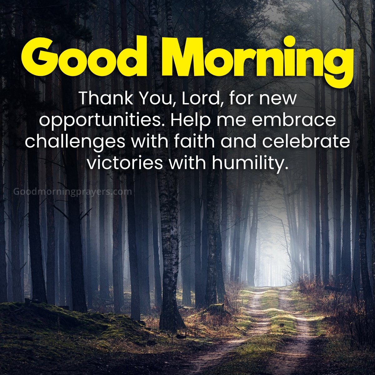 Thank You, Lord, For New Opportunities. Help Me