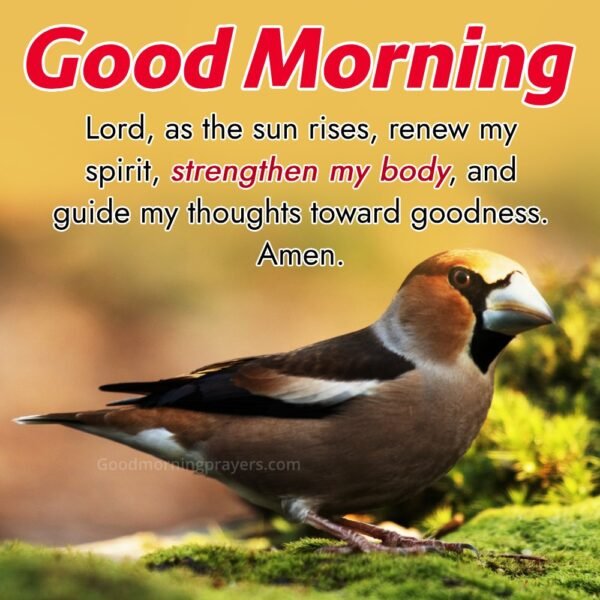 Morning Prayer for Strength: Empower Your Day with Faith - Good Morning ...