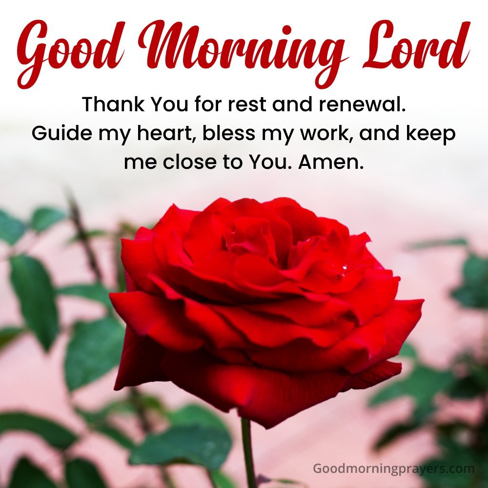 Thank You For Rest And Renewal.